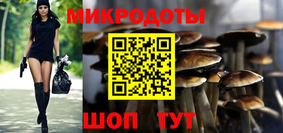 Галлюциногенные грибы Psilocybine cubensis Барнаул