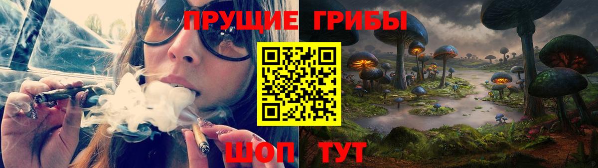Барнаул  Псилоцибиновые грибы MAGIC MUSHROOMS  купить закладку  Вход с VPN 
